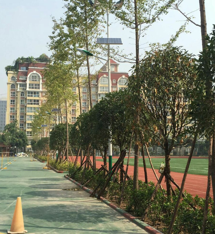學校路燈改造 學校路燈改造