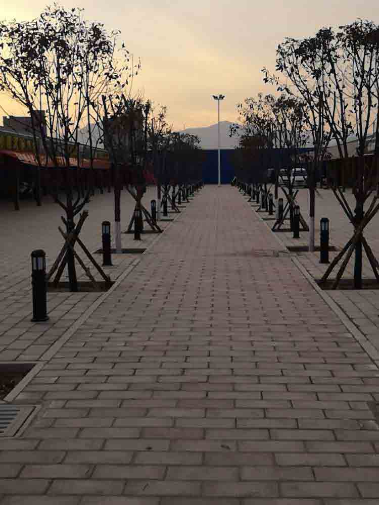 草坪燈生產廠家 草坪燈生產廠家