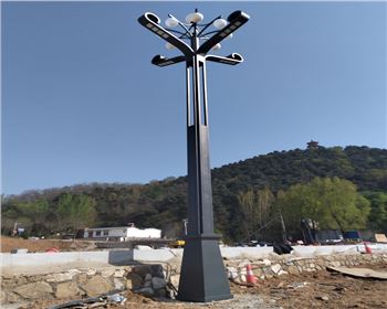 山西省運城市高桿景觀道路路燈項目 山西省運城市高桿景觀道路路燈項目