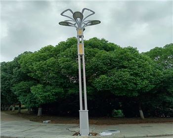 湖北武漢市政景觀路燈項目 湖北武漢市政景觀路燈項目